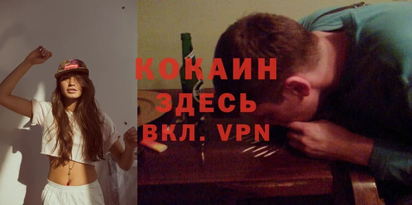 ПСИЛОЦИБИНОВЫЕ ГРИБЫ Новозыбков
