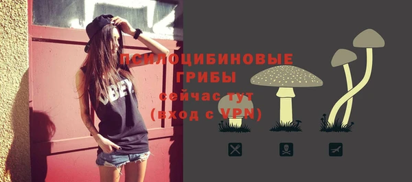спиды Нязепетровск