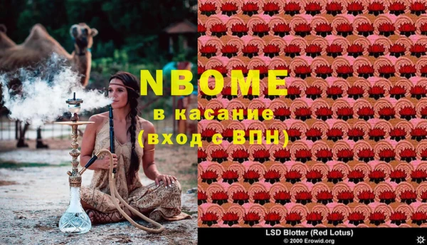 каннабис Новодвинск