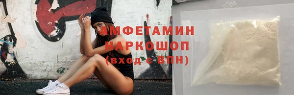 ПСИЛОЦИБИНОВЫЕ ГРИБЫ Новозыбков