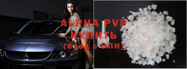 ПСИЛОЦИБИНОВЫЕ ГРИБЫ Новозыбков