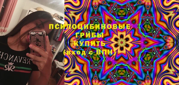 ПСИЛОЦИБИНОВЫЕ ГРИБЫ Новозыбков
