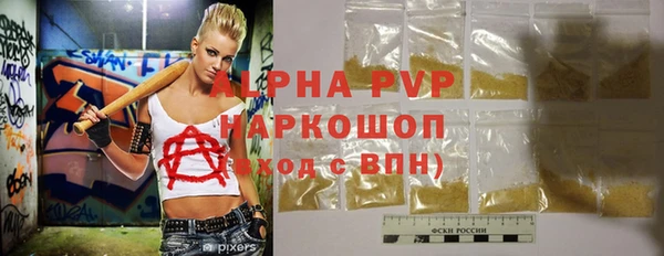 ПСИЛОЦИБИНОВЫЕ ГРИБЫ Новозыбков